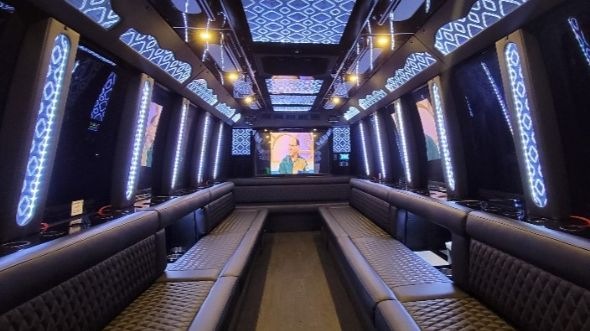 owensboro 20 passenger party bus
